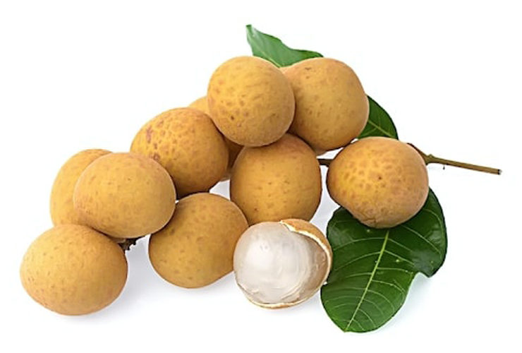 Longan