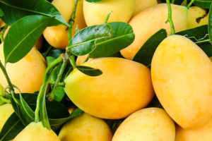 Plum mango
