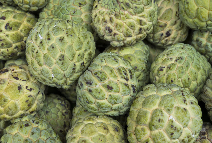 custard-apple