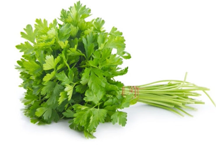 Coriander