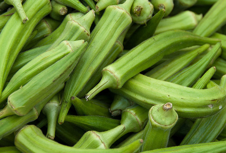 Okra