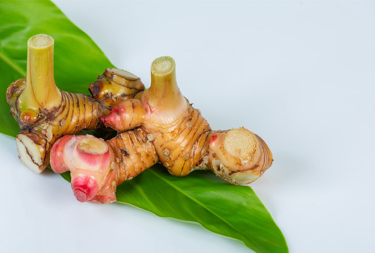 galangal